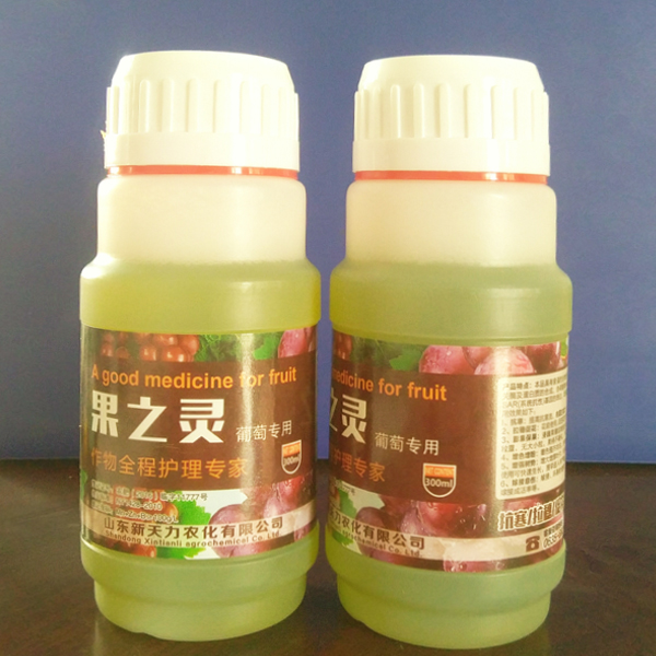 果之靈 葡萄.jpg